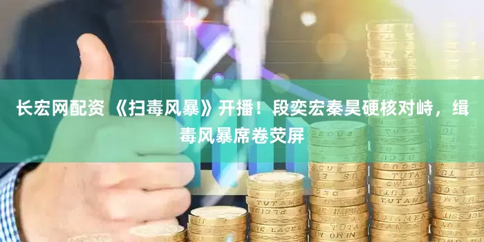 长宏网配资 《扫毒风暴》开播！段奕宏秦昊硬核对峙，缉毒风暴席卷荧屏