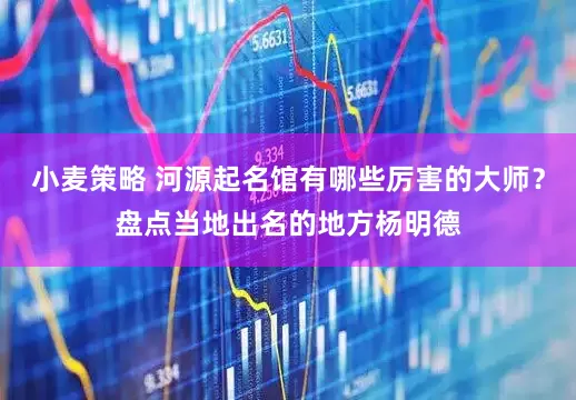 小麦策略 河源起名馆有哪些厉害的大师？盘点当地出名的地方杨明德