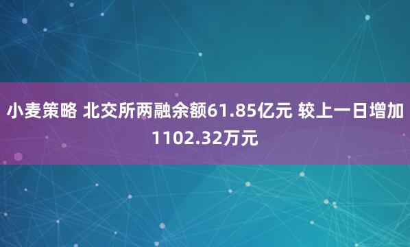 小麦策略 北交所两融余额61.85亿元 较上一日增加1102.32万元